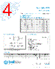 5TT6-R Datasheet HTML 4Page - Bel Fuse Inc. 