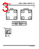 M19X-LXRW-059 Datasheet HTML 3Page - Murata Manufacturing Co., Ltd 