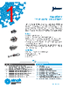 IP53 Datasheet HTML 1Page - Bel Fuse Inc. 