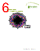 FXP831070100C Datasheet HTML 6Page - List of Unclassifed Manufacturers 