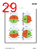 AS5147 Datasheet HTML 29Page - AMSCO 