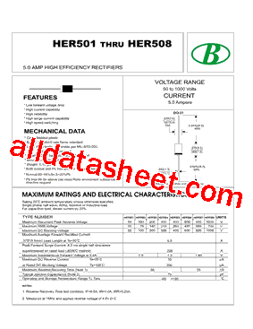 HER501-2C5A-2CDO-27 Datasheet PDF - Nanjing International Group Co